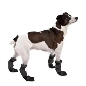 Rat Terrier Dog Booties