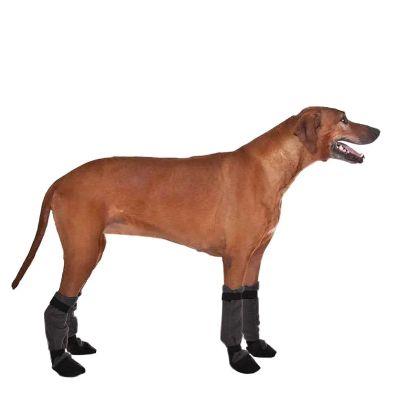 Rhodesian Ridgeback Dog Booties